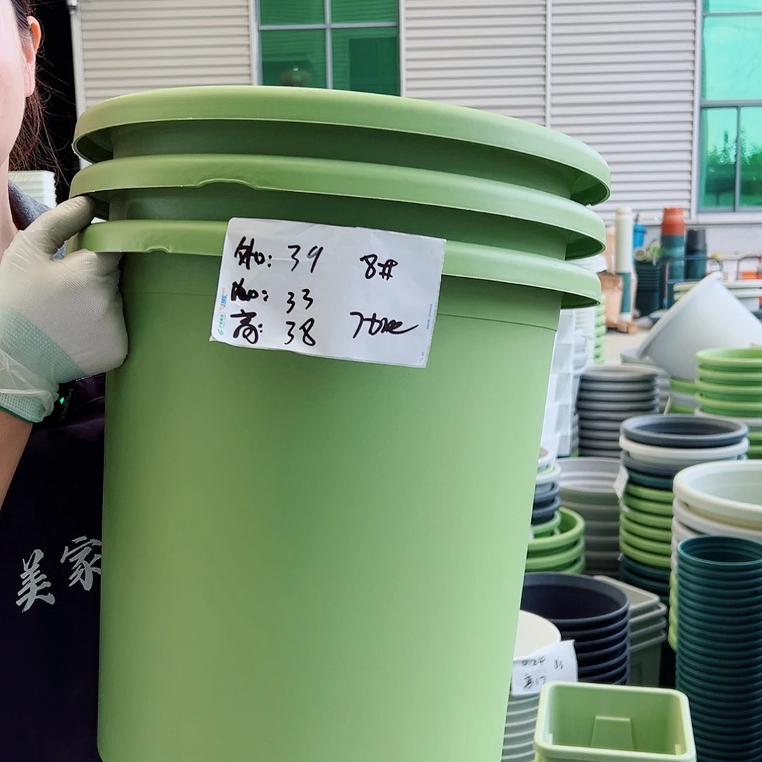 瑕疵四季盆8#果绿3个无托