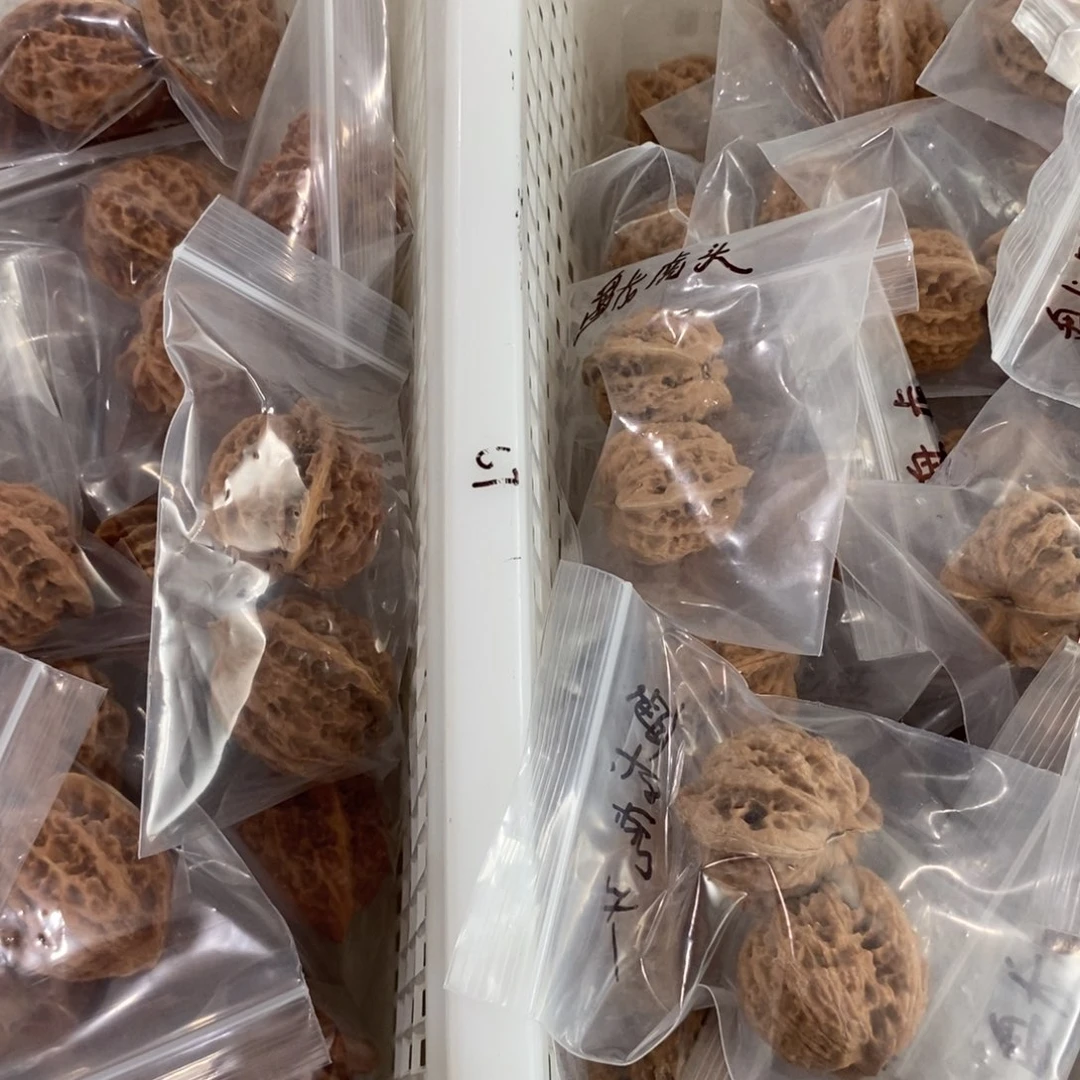 文玩核桃吊坠京八对盘龙虎头有瑕疵