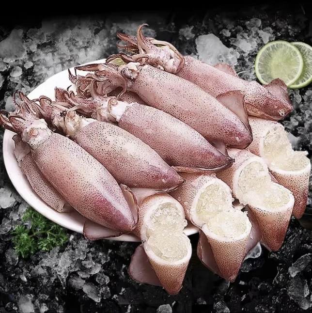 全母新鲜籽乌 大个海兔 满籽满膏 10头/450克/包 到手3包 送料包