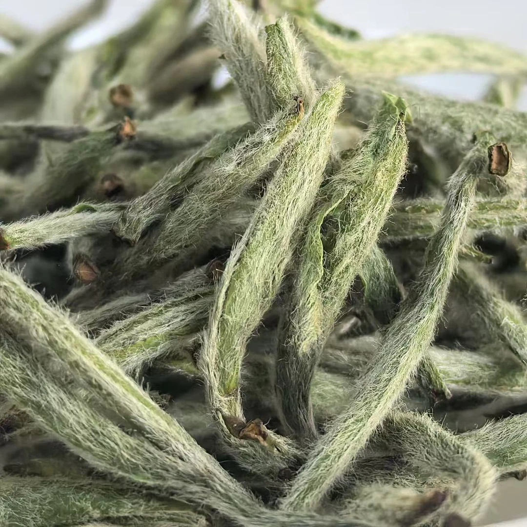 2025年香炉尖头采炭焙荒野紫芽银针|曾浅浅亲制|政和白茶|紫芽|