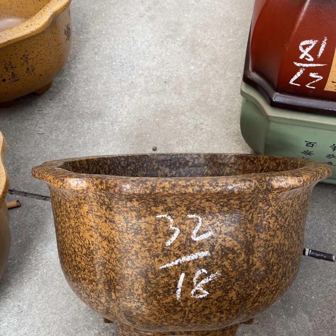 花盆紫砂盆景艺术