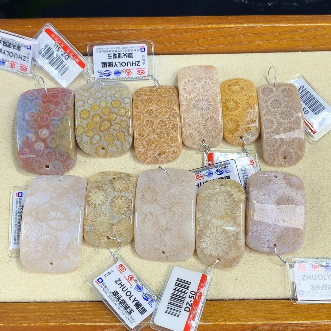 硅化珊瑚（珊瑚玉）未镶嵌吊坠(赠链)20号手环牌50一个
