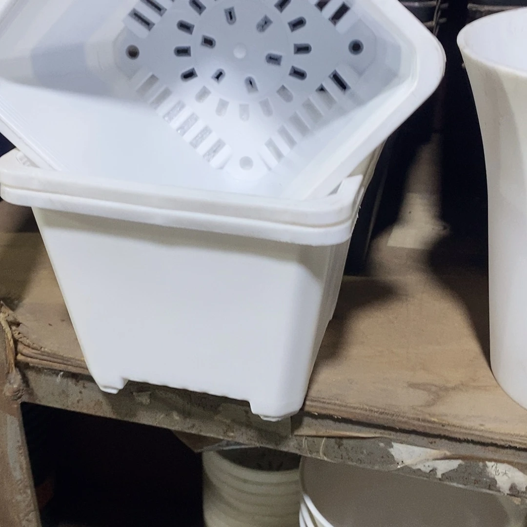 塑料新14公分白方加厚15个