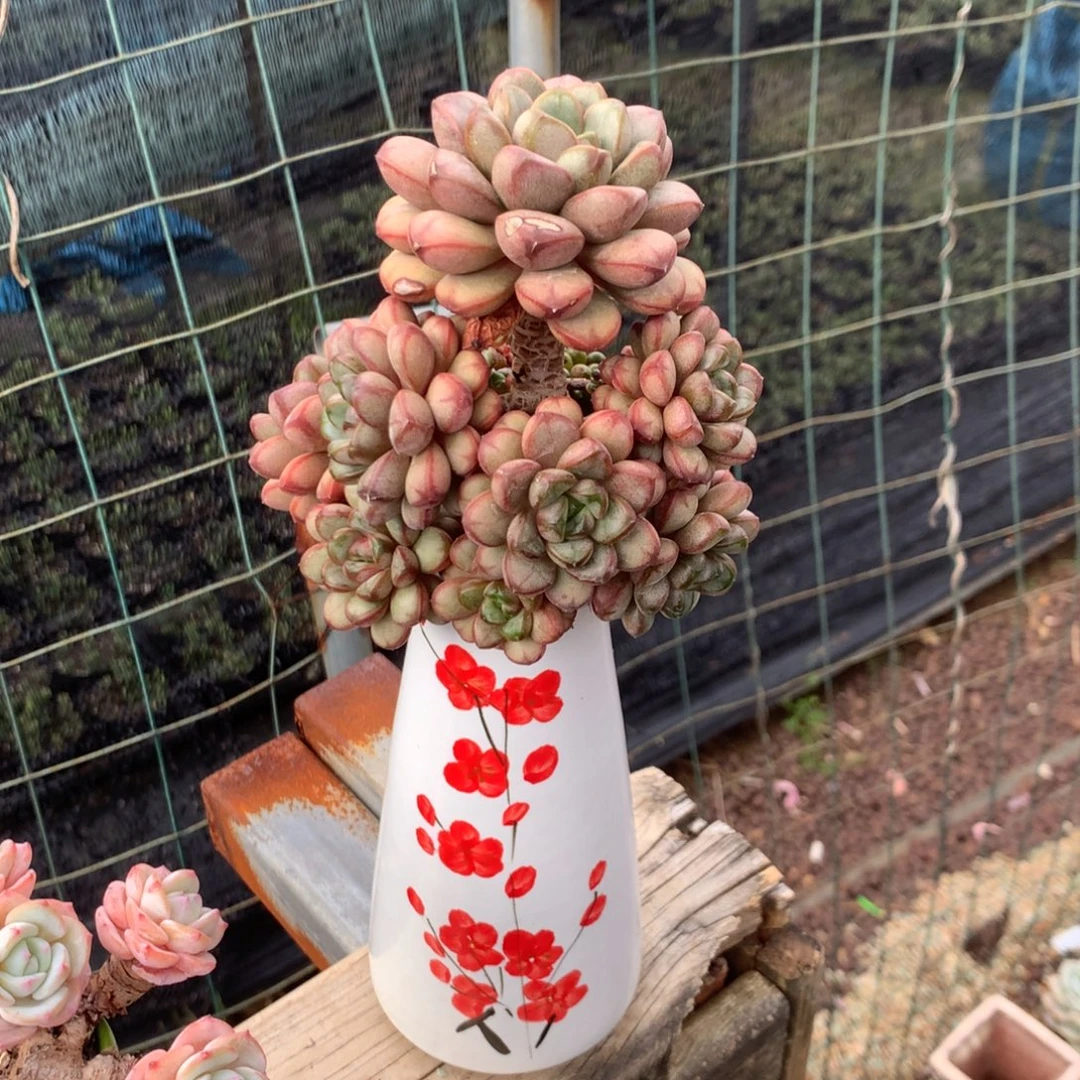 那好你去哪找嘛就说