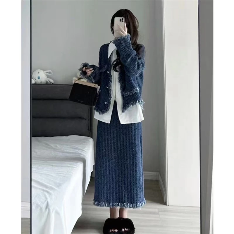 高级感毛边长袖外套时尚三件套装秋季新款设计感高腰半身长裙女潮