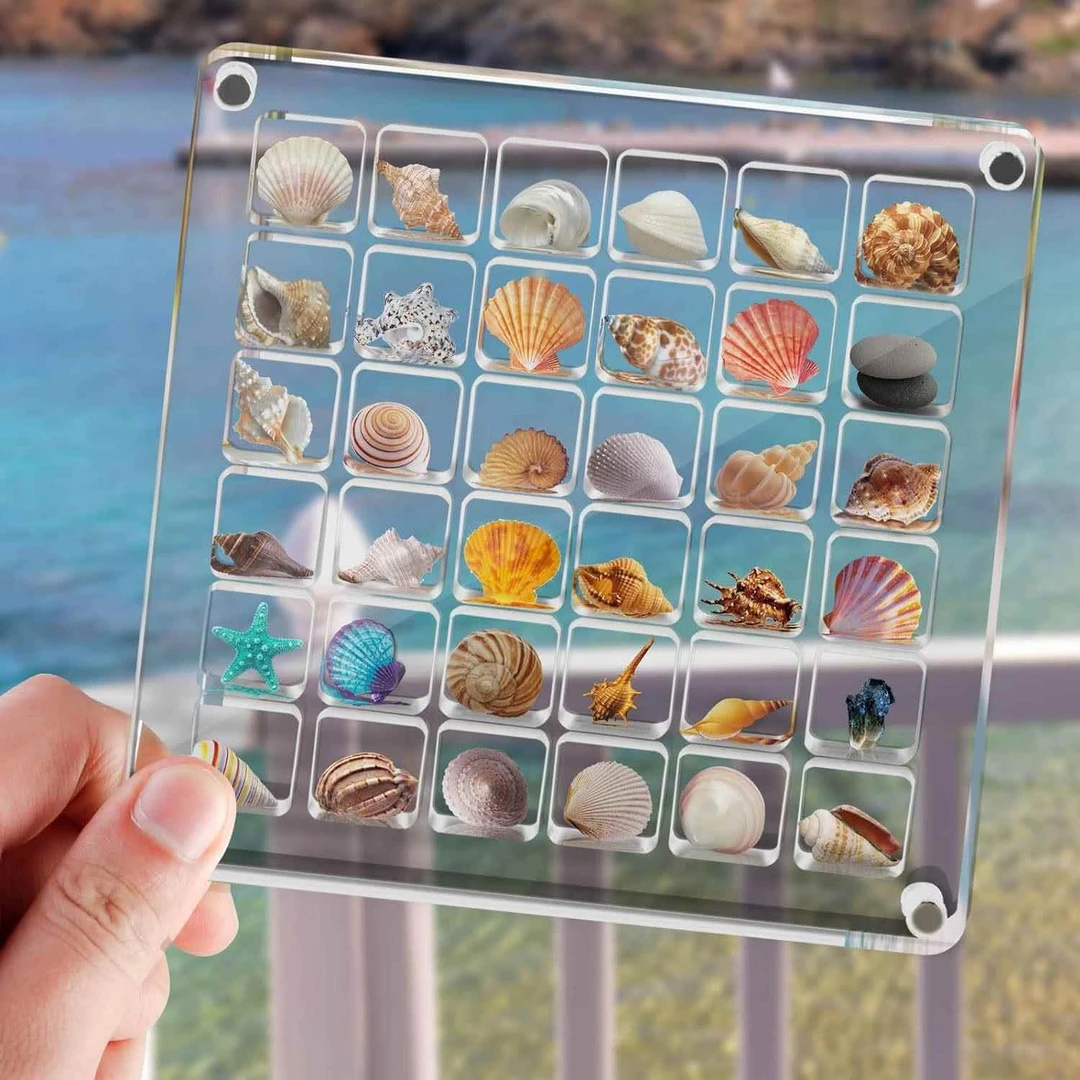 天然迷你小海螺贝壳海星高透亚克力收纳盒材料微贝沙标本海边礼物