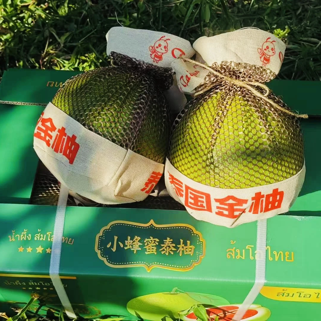 小蜜蜂泰国金柚 脆爽多汁