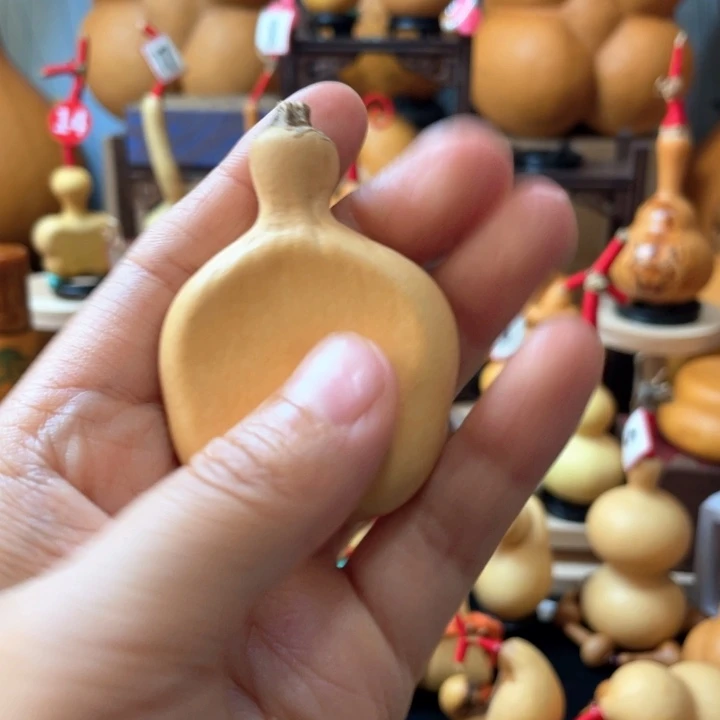 宝***睡在于它可以成为朋友
