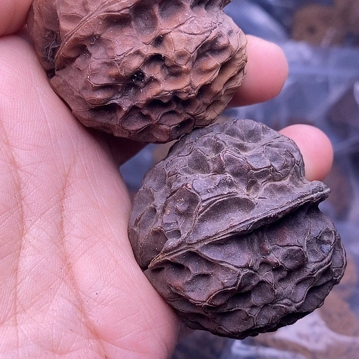 文玩核桃把件   108