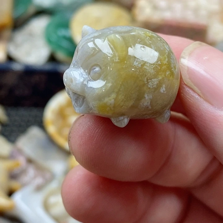 硅化珊瑚（珊瑚玉）未镶嵌颈饰