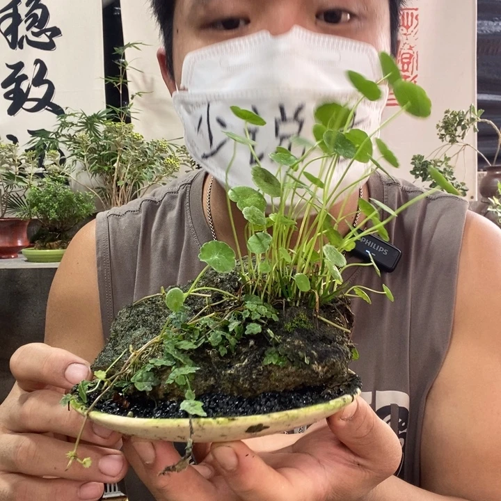 无花朵退款拉黑49