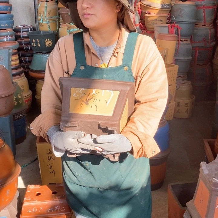 紫砂花盆紫砂花盆盆栽花卉种植