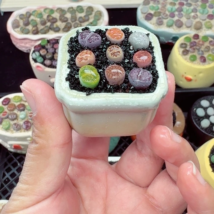 613零下地区记得拍保温箱