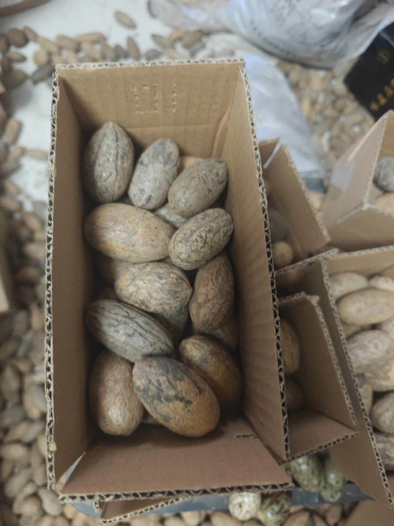 千眼菩提周正小果20