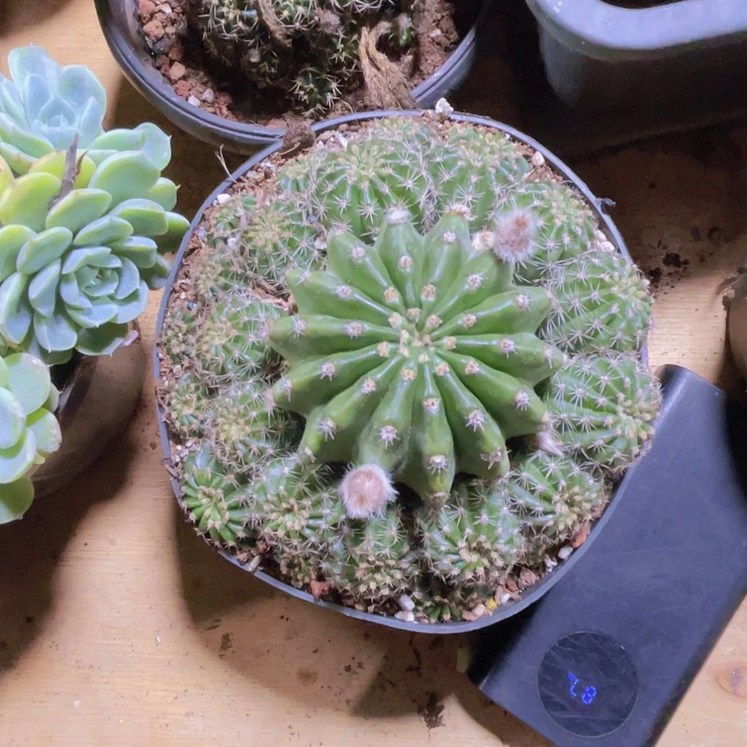 快***在00000000000000094