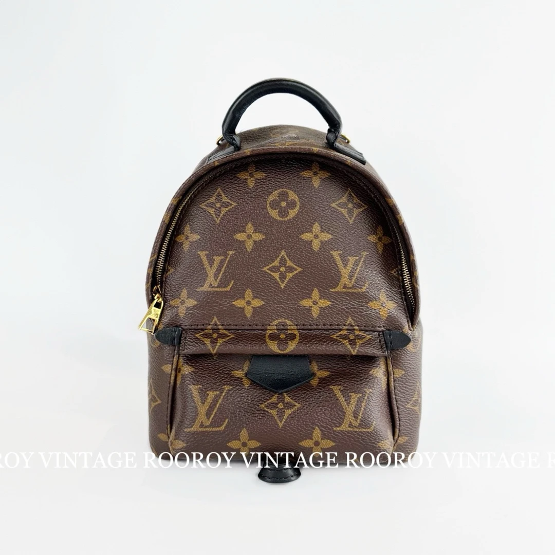 95新 LouisVuitton/路易威登 mini老花双肩包/4150