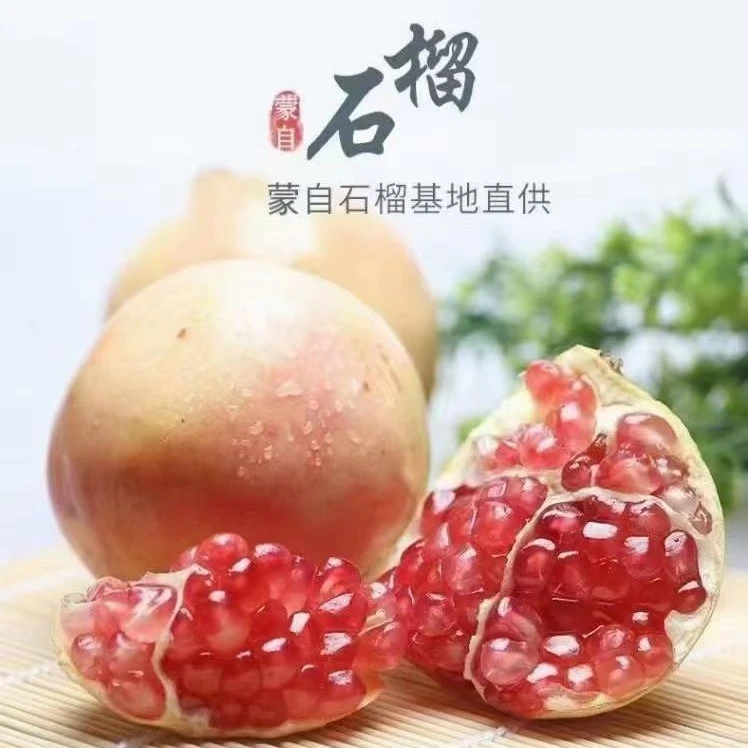 （中秋福利真真专属）云南蒙自粶籽薄皮水晶甜石榴现摘现发