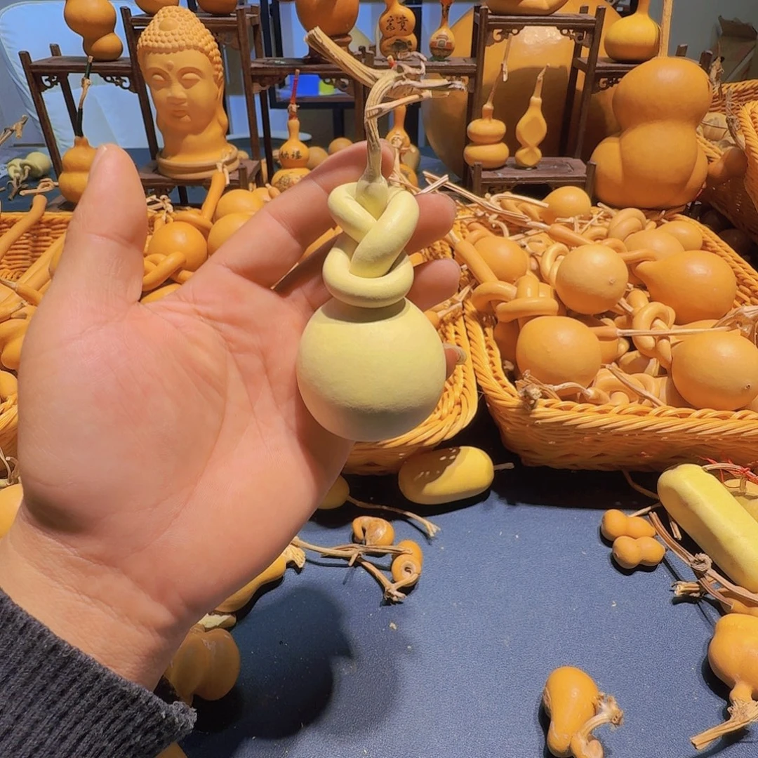 如***屁葫芦等农作物生长的条件