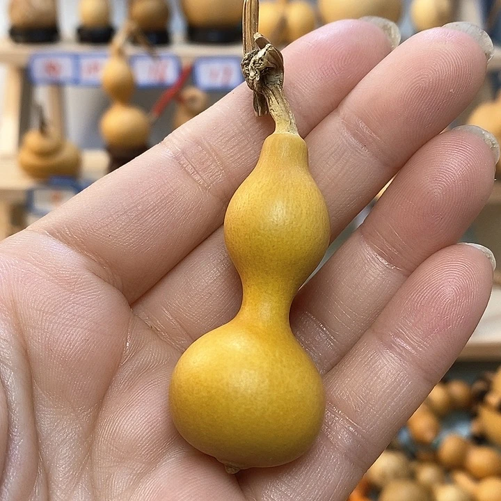 C*C直播间手把小葫芦