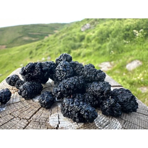 武都高山桑椹干货自然晒干无染色无硫