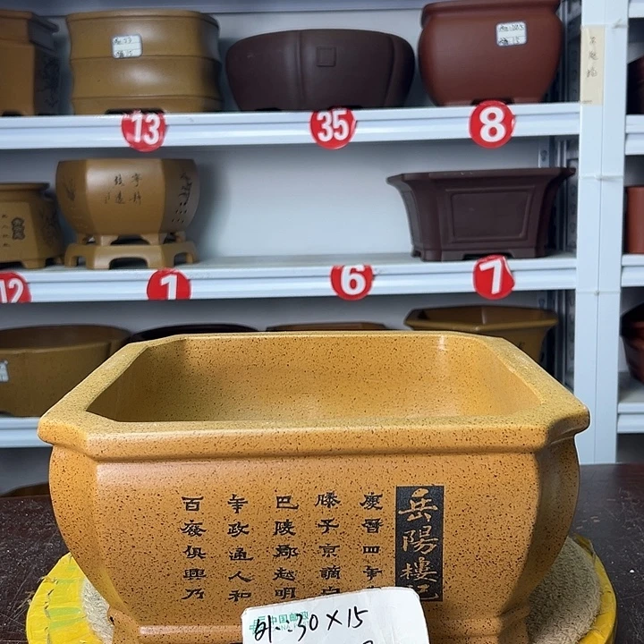 花盆紫砂你在一起