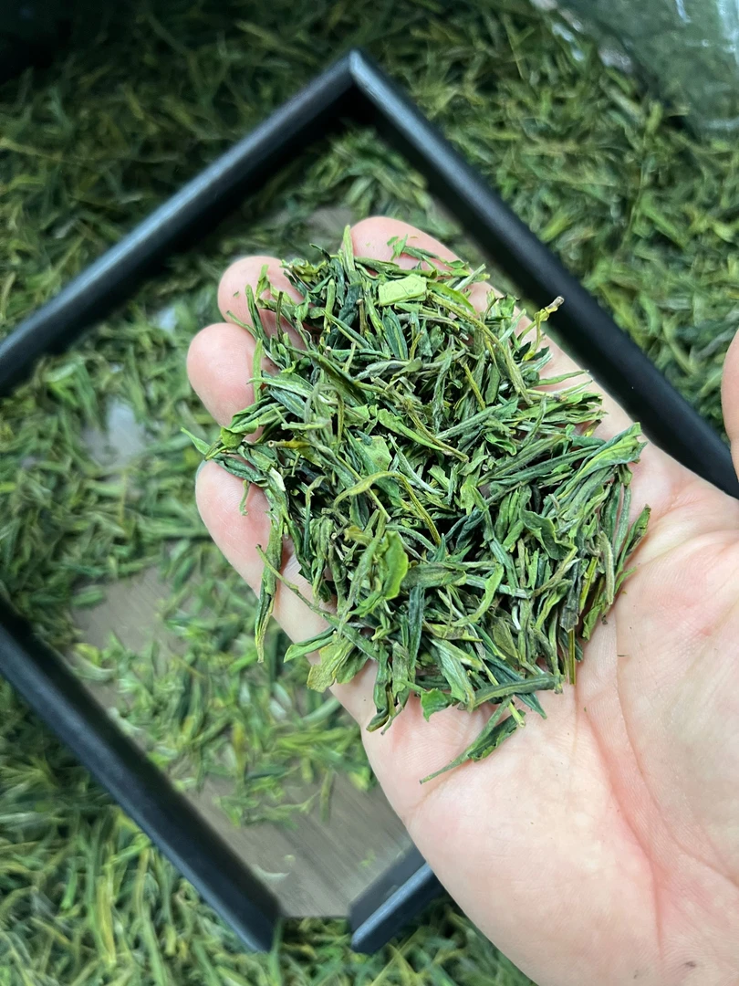 25年新茶安徽高山绿茶 碎茶大片 浓香耐泡 不苦不涩