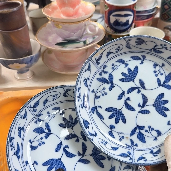 碗开播啦….开播啦