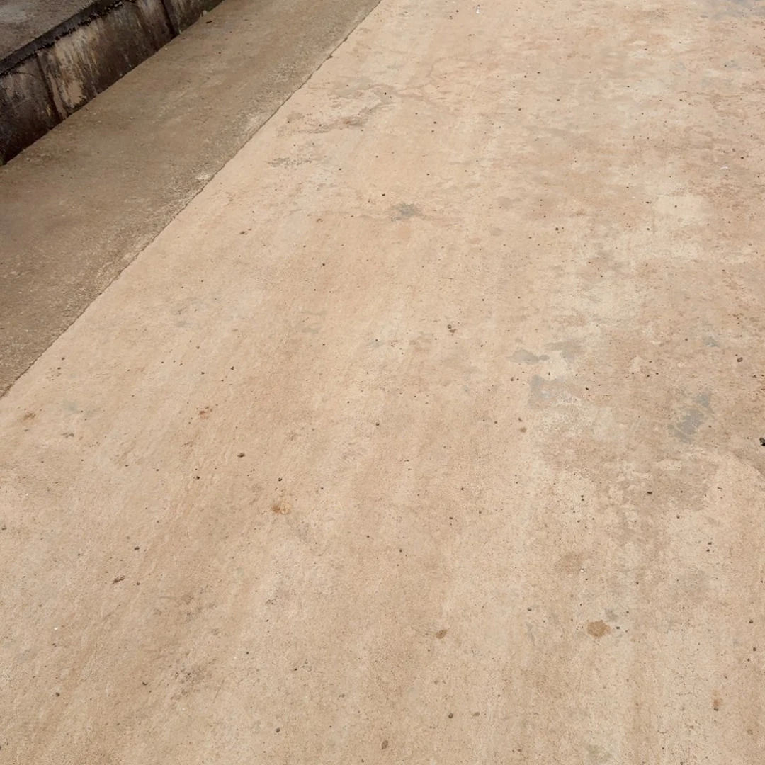 门口珍妮二十颗量拍17-54