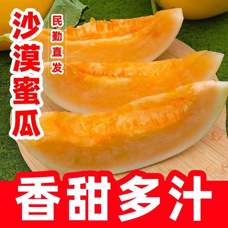 蜜瓜甘肃民勤沙漠蜜瓜新鲜当季水果产地直发香甜多汁黄河蜜瓜甜瓜