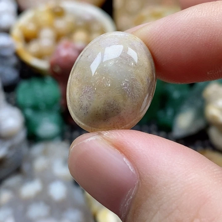 硅化珊瑚（珊瑚玉）颈饰未镶嵌