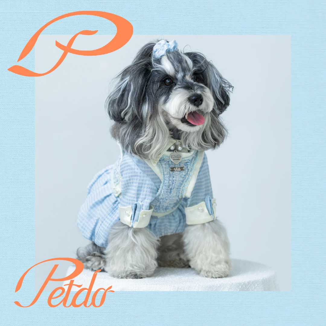 小香风真两件连衣裙宠物裙子宠物衣服雪纳瑞马尔济西施泰迪