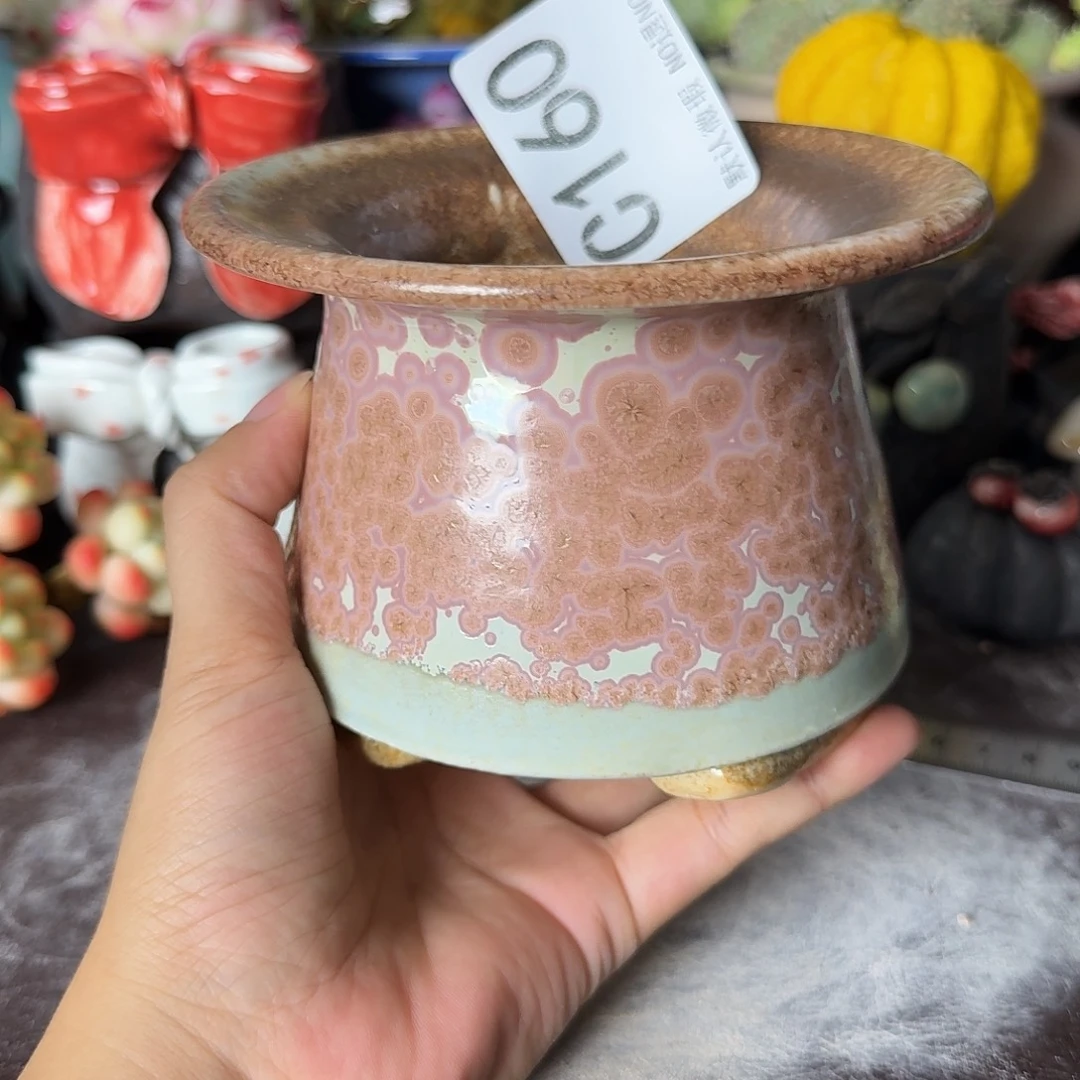 重庆小燕子欢迎大家160