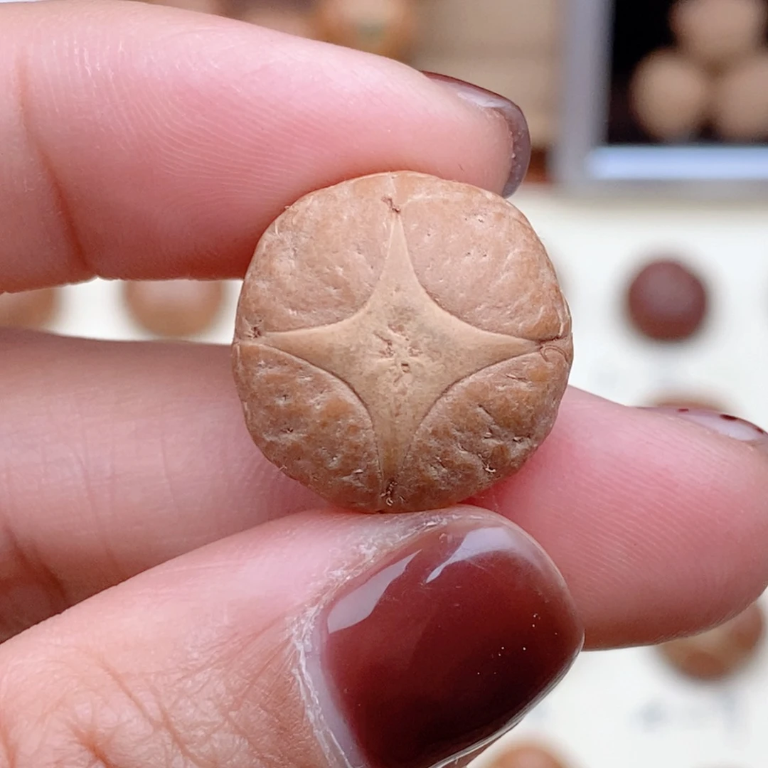 龙眼菩提吊坠大***士麒麟