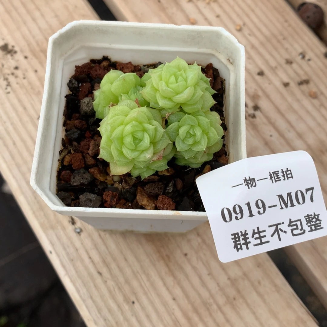 0919-m07