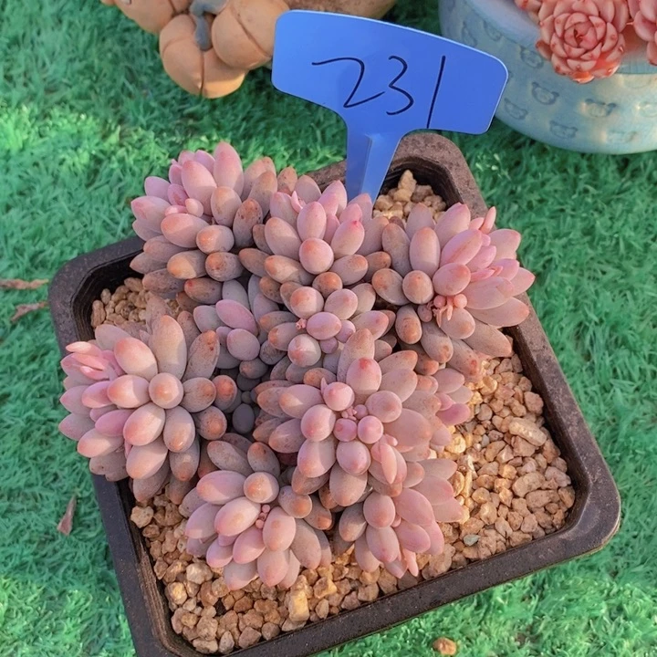 你也别去买衣服啊