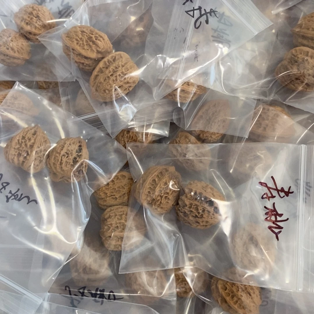 文玩核桃吊坠寿桃有瑕疵