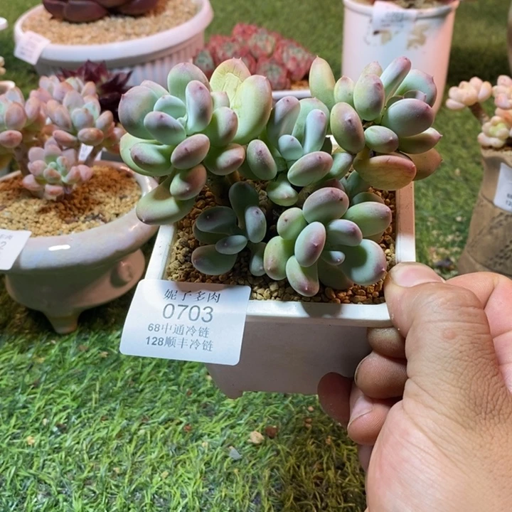 0703啊啊啊啊啊啊啊啊