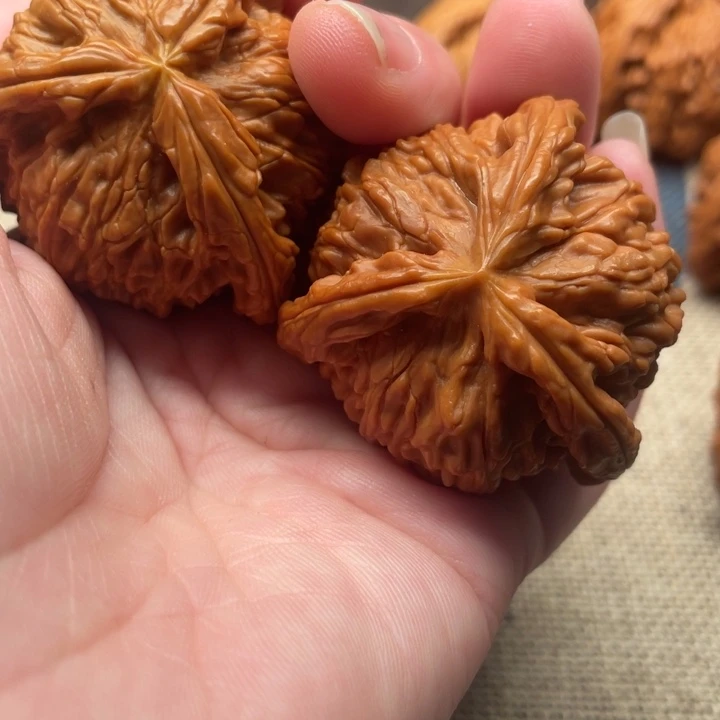 揽***於核桃白狮子42核桃