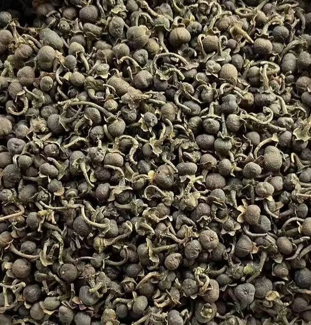 2017年政和高山荒野白茶籽，7年自然陈化，山野气韵紧锁时光