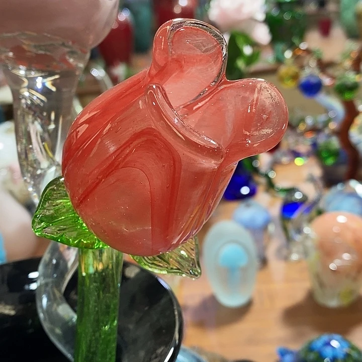 玫瑰花高43厘米左右