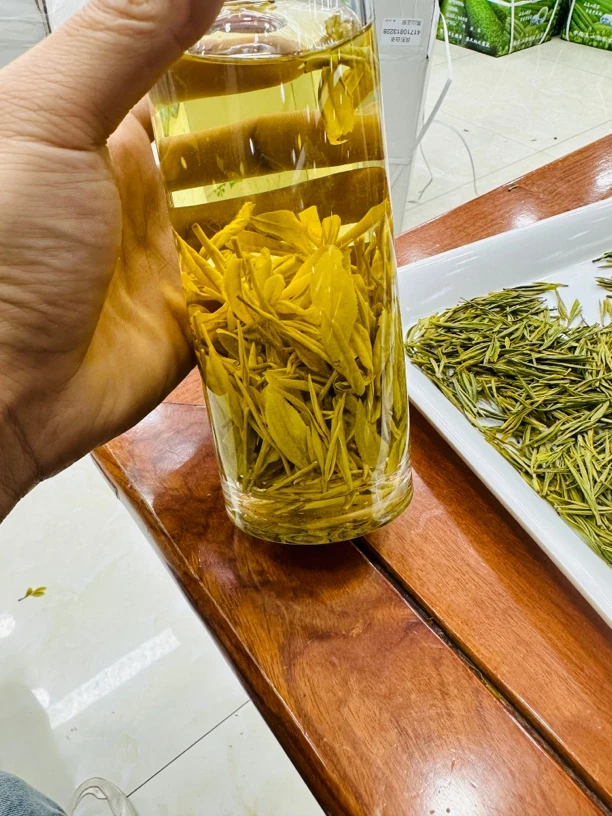 黄金叶 黄茶1-5-0