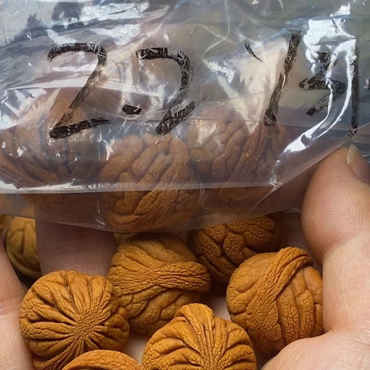 木质类秦岭山野生桃核