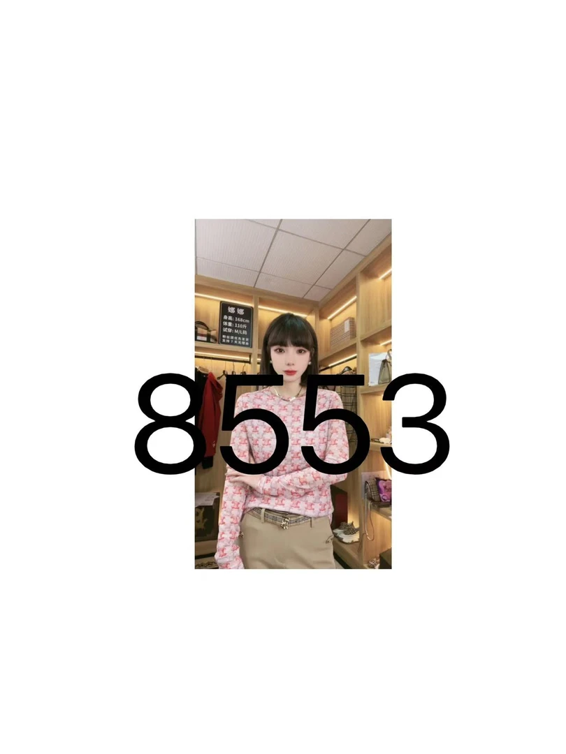 2025春夏新款8553-粉色休闲高级感双层网纱上衣女薄款T恤