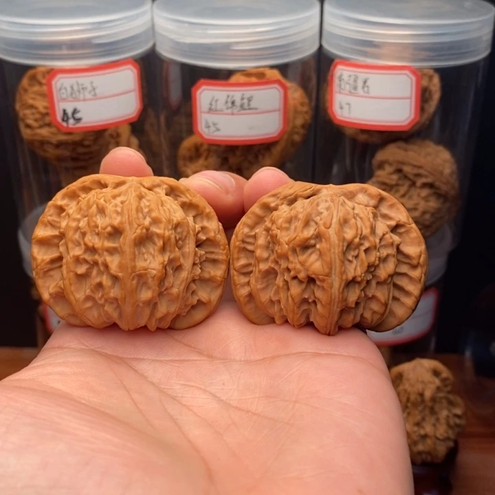 文玩核桃把件48尺白狮子