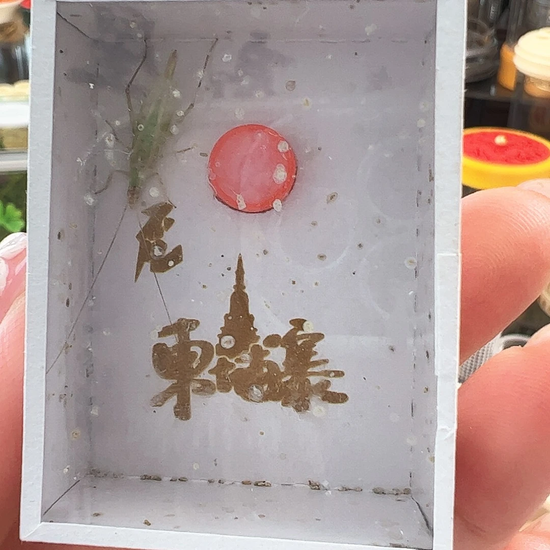 哈哈哈柬埔寨两个