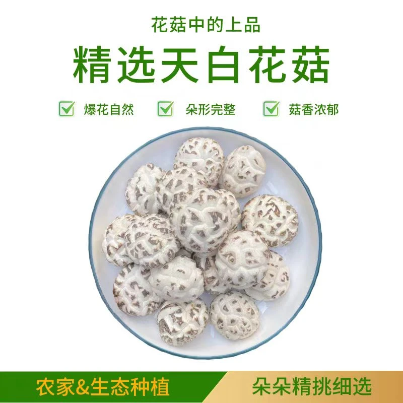 花花菌子【CM精选】广水农家种植天白花菇250g/500g
