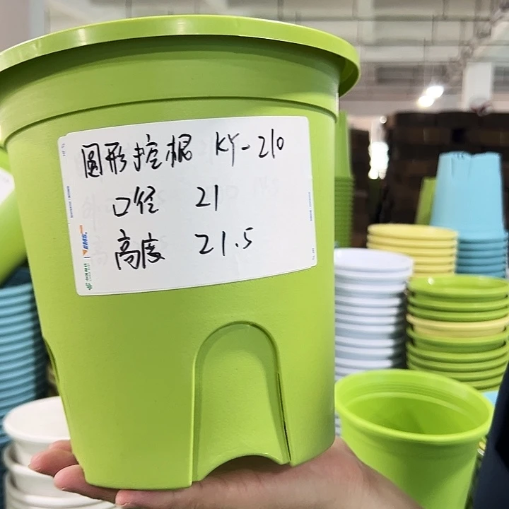 正品圆控口21高21果绿无托8只