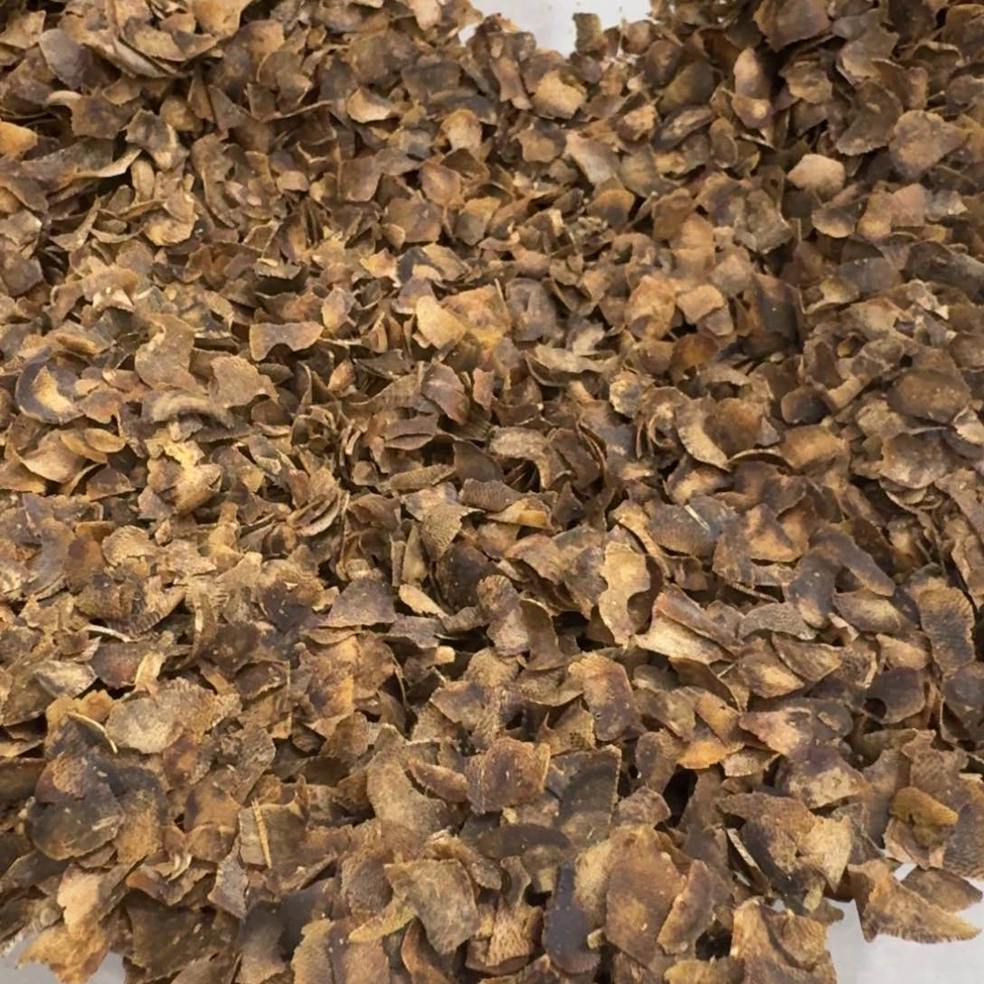 沉香碎屑沉香绿绮楠沉香10克