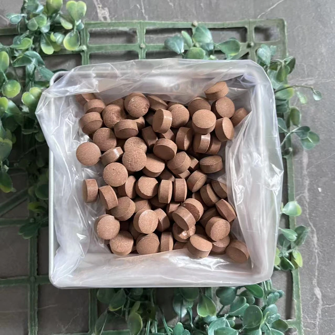 雨腾古茶  Y圣”G特T  菩提六B 大圆M”Y倍J炼60g/盒（12月22）