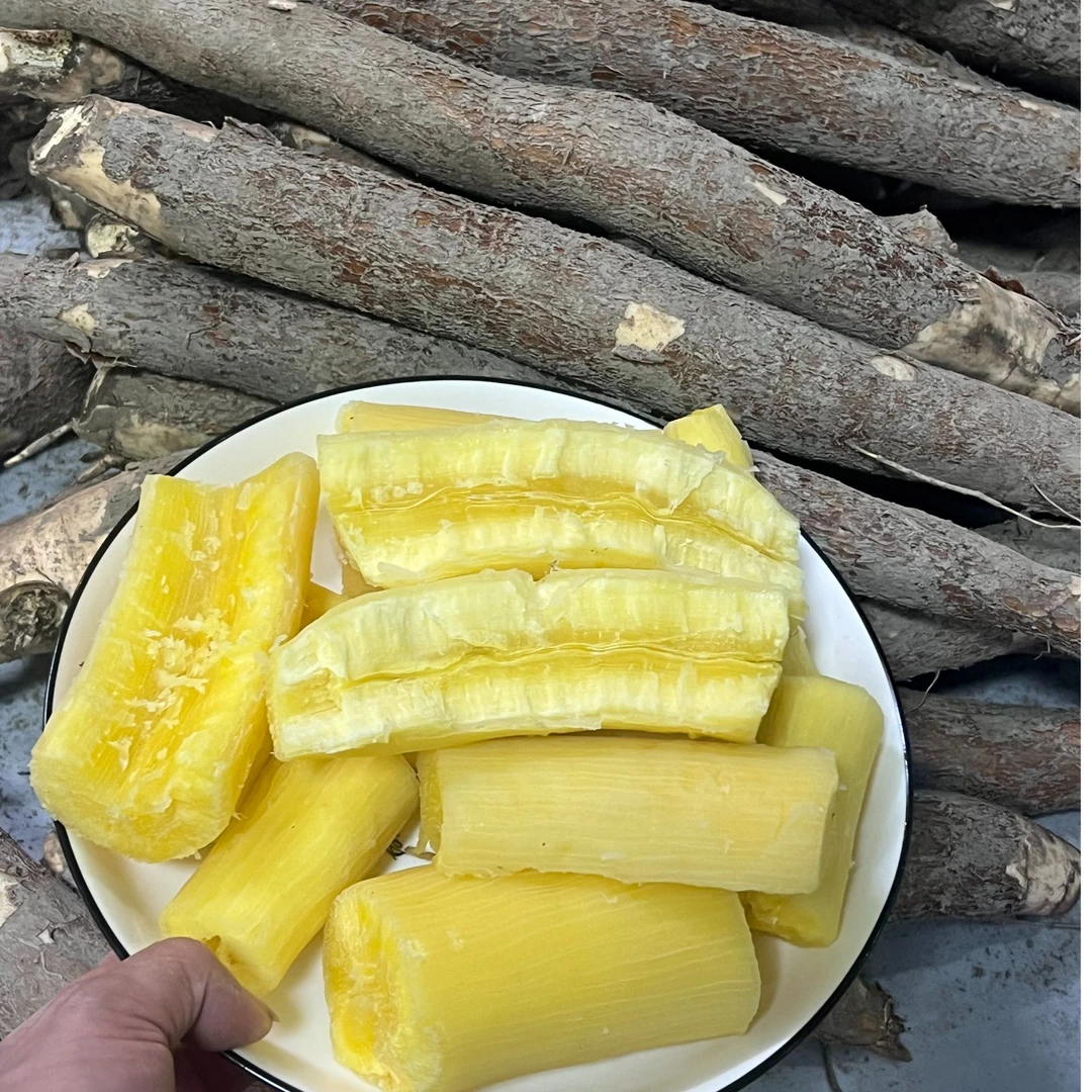 广西新鲜现挖带皮黄心木薯粉糯香甜糖水粗粮食材食用木薯软糯特级